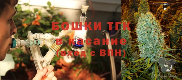 дмт Алзамай