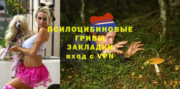 дживик Алексеевка